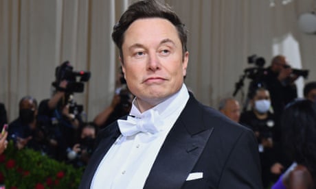Elon Musk denies he sexually harassed attendant on private jet in 2016